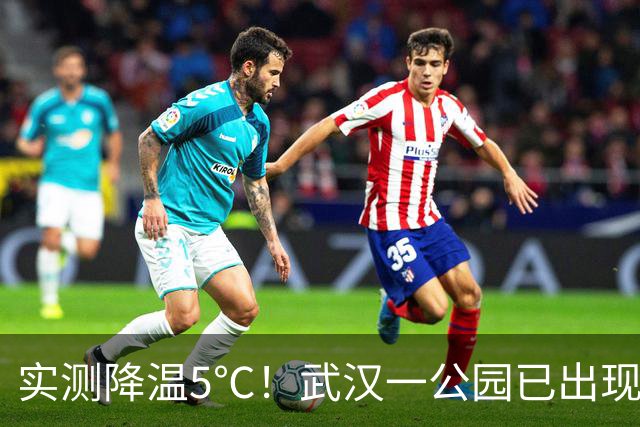 实测降温5℃！武汉一公园已出现，有人说比空调还舒服